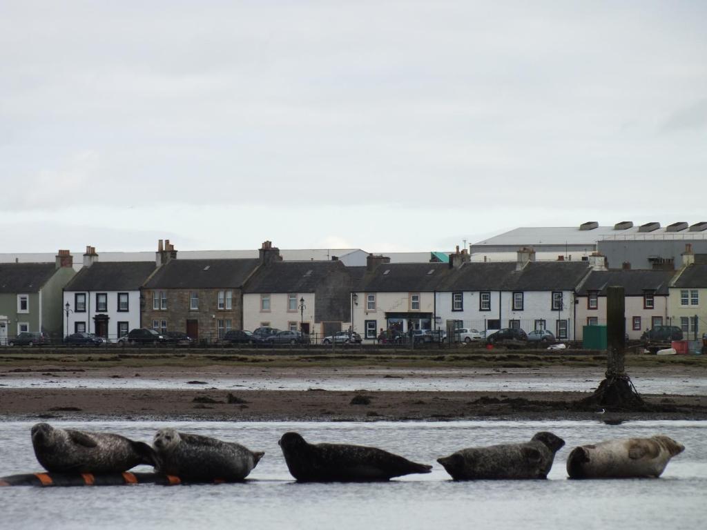 St Andrews Guest House Irvine  Exterior foto
